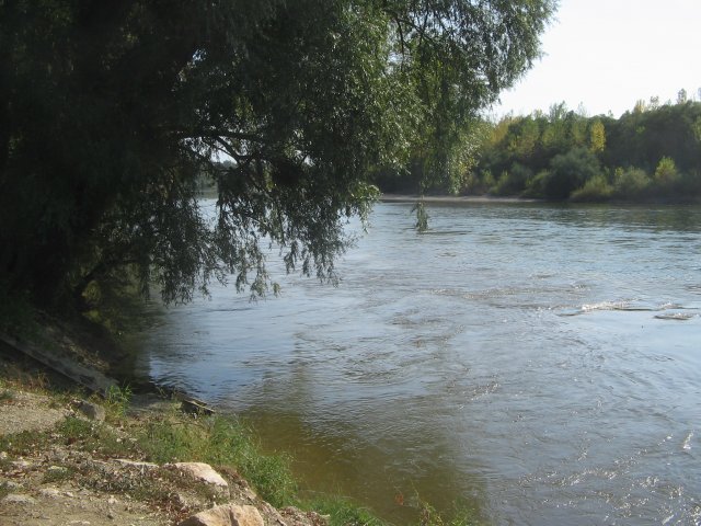 finnek 2011 006